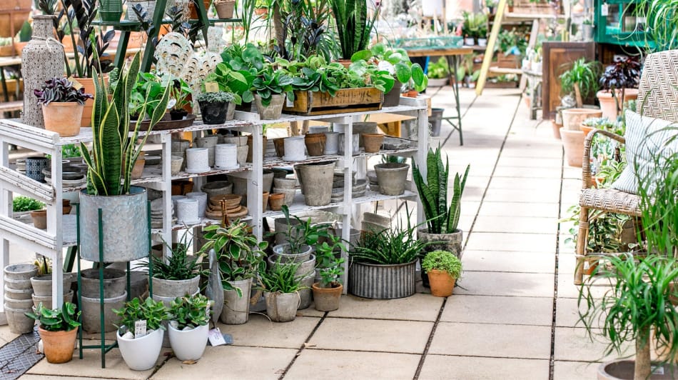 Duchy of Cornwall Nursery interior design inspiration for your conservatory 